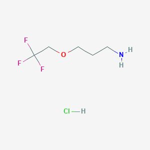 molecular formula C5H11ClF3NO B1520962 3-(2,2,2-Trifluoroethoxy)propan-1-amine hydrochloride CAS No. 1171639-58-9