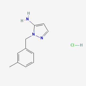 molecular formula C11H14ClN3 B1520972 1-[(3-methylphenyl)methyl]-1H-pyrazol-5-amine hydrochloride CAS No. 1170134-78-7