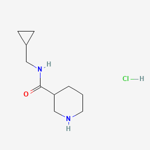 molecular formula C10H19ClN2O B1520974 N-(cyclopropylmethyl)piperidine-3-carboxamide hydrochloride CAS No. 1171095-24-1