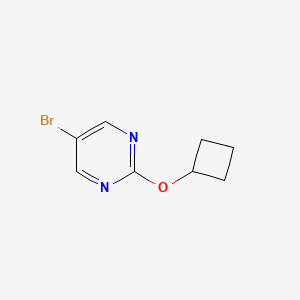 molecular formula C8H9BrN2O B1521022 5-Bromo-2-cyclobutoxypyrimidine CAS No. 1260833-40-6