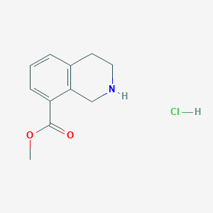 B1521074 Methyl 1,2,3,4-tetrahydroisoquinoline-8-carboxylate hydrochloride CAS No. 1029689-82-4