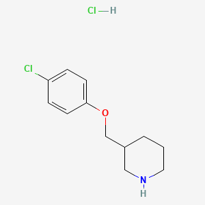 molecular formula C12H17Cl2NO B1521086 3-[(4-Chlorophenoxy)methyl]piperidine hydrochloride CAS No. 1185296-38-1