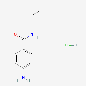 molecular formula C12H19ClN2O B1521202 4-amino-N-(2-methylbutan-2-yl)benzamide hydrochloride CAS No. 1193388-92-9