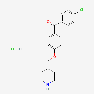 molecular formula C19H21Cl2NO2 B1521240 (4-氯苯基)[4-(4-哌啶基甲氧基)苯基]-甲酮盐酸盐 CAS No. 1185297-46-4