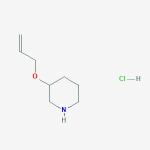 molecular formula C8H16ClNO B1521418 3-(烯丙氧基)哌啶盐酸盐 CAS No. 1185297-03-3