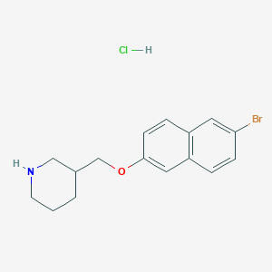 molecular formula C16H19BrClNO B1521424 3-{[(6-Bromo-2-naphthyl)oxy]methyl}piperidine hydrochloride CAS No. 1185133-11-2