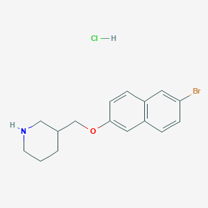 molecular formula C16H19BrClNO B1521424 3-{[(6-溴-2-萘基)氧基]甲基}哌啶盐酸盐 CAS No. 1185133-11-2