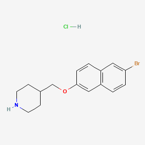molecular formula C16H19BrClNO B1521427 4-{[(6-Bromo-2-naphthyl)oxy]methyl}piperidine hydrochloride CAS No. 1185298-21-8