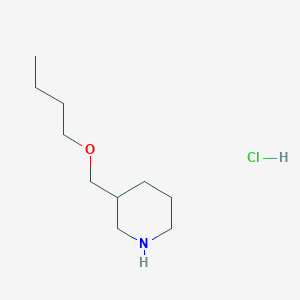 molecular formula C10H22ClNO B1521647 3-(Butoxymethyl)piperidine hydrochloride CAS No. 1185303-66-5