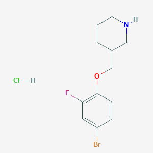 molecular formula C12H16BrClFNO B1521650 3-[(4-溴-2-氟苯氧基)甲基]哌啶盐酸盐 CAS No. 1185298-10-5