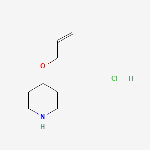 molecular formula C8H16ClNO B1521661 4-(烯丙氧基)哌啶盐酸盐 CAS No. 956324-63-3