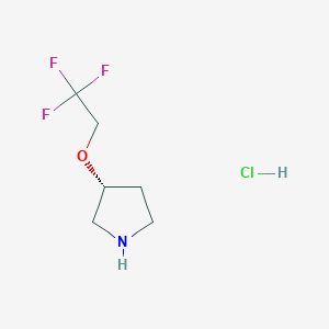 (R)-3-(2,2,2-Trifluoroethoxy)pyrrolidine hydrochloride