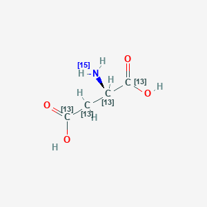 molecular formula C4H7NO4 B15219026 (2R)-2-(15N)azanyl(1,2,3,4-13C4)butanedioic acid 