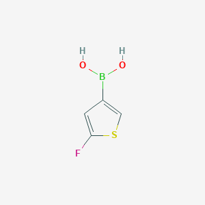 (5-Fluorothiophen-3-yl)boronic acid