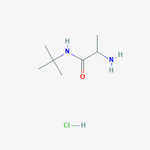 molecular formula C7H17ClN2O B1522038 2-氨基-N-叔丁基丙酰胺盐酸盐 CAS No. 1214031-03-4
