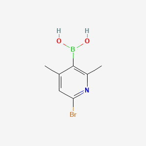 molecular formula C7H9BBrNO2 B1522047 (6-溴-2,4-二甲基吡啶-3-基)硼酸 CAS No. 1072944-23-0