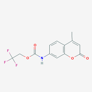 molecular formula C13H10F3NO4 B1522203 2,2,2-trifluoroethyl N-(4-methyl-2-oxo-2H-chromen-7-yl)carbamate CAS No. 1210752-66-1