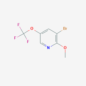 molecular formula C7H5BrF3NO2 B15223795 3-Bromo-2-methoxy-5-(trifluoromethoxy)pyridine 