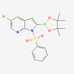 molecular formula C19H20BBrN2O4S B1522655 5-Bromo-1-(phenylsulfonyl)-2-(4,4,5,5-tetramethyl-1,3,2-dioxaborolan-2-yl)-1H-pyrrolo[2,3-b]pyridine CAS No. 1357387-25-7