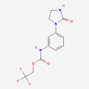molecular formula C12H12F3N3O3 B1522706 2,2,2-三氟乙基 N-[3-(2-氧代咪唑烷-1-基)苯基]氨基甲酸酯 CAS No. 1240529-00-3