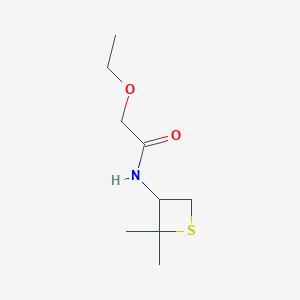 N-(2,2-Dimethylthietan-3-yl)-2-ethoxyacetamide