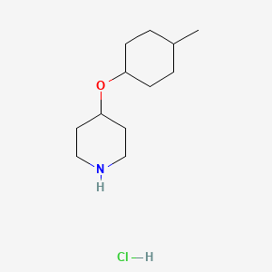 molecular formula C12H24ClNO B1522912 4-[(4-Methylcyclohexyl)oxy]piperidine hydrochloride CAS No. 1305711-89-0
