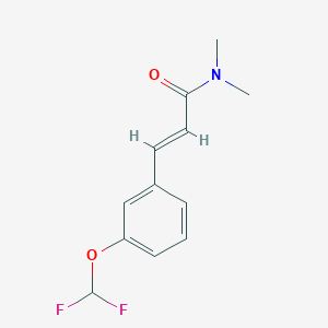 molecular formula C12H13F2NO2 B15229165 3-(3-(Difluoromethoxy)phenyl)-N,N-dimethylacrylamide 