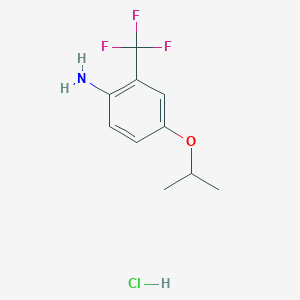 molecular formula C10H13ClF3NO B1522920 4-(Propan-2-yloxy)-2-(trifluoromethyl)aniline hydrochloride CAS No. 1258639-73-4