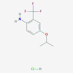 molecular formula C10H13ClF3NO B1522920 4-(丙-2-氧基)-2-(三氟甲基)苯胺盐酸盐 CAS No. 1258639-73-4