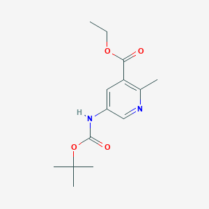 molecular formula C14H20N2O4 B15229376 Ethyl 5-((tert-butoxycarbonyl)amino)-2-methylnicotinate 