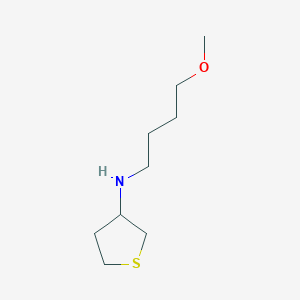 N-(4-Methoxybutyl)tetrahydrothiophen-3-amine