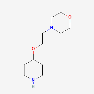 molecular formula C11H22N2O2 B1523148 4-[2-(哌啶-4-氧基)乙基]吗啉 CAS No. 1062625-66-4
