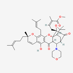 molecular formula C43H55NO9 B15232642 Morpholinyl methyl gambogate 