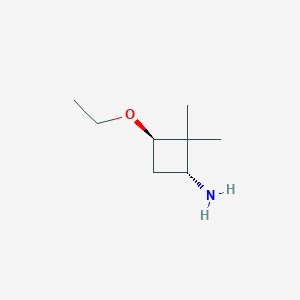 trans-3-Ethoxy-2,2-dimethylcyclobutan-1-amine