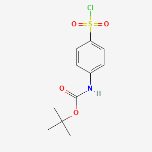molecular formula C11H14ClNO4S B1523322 tert-Butyl (4-(chlorosulfonyl)phenyl)carbamate CAS No. 269747-25-3