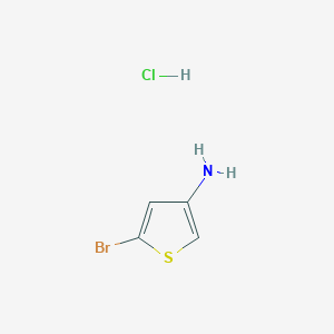 molecular formula C4H5BrClNS B1523346 5-溴噻吩-3-胺盐酸盐 CAS No. 1159823-91-2