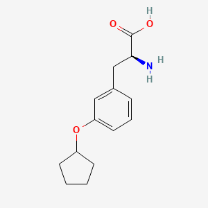 molecular formula C14H19NO3 B15233955 (2S)-2-Amino-3-(3-cyclopentyloxyphenyl)propanoic acid 