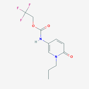 molecular formula C11H13F3N2O3 B1523446 2,2,2-trifluoroethyl N-(6-oxo-1-propyl-1,6-dihydropyridin-3-yl)carbamate CAS No. 1333569-97-3