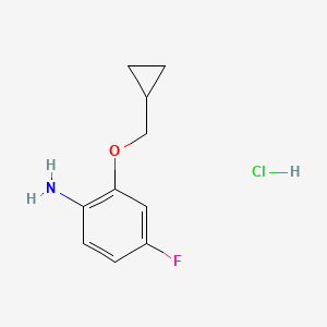molecular formula C10H13ClFNO B1523477 2-(环丙基甲氧基)-4-氟苯胺盐酸盐 CAS No. 1333994-64-1