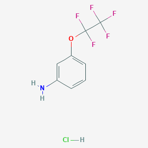 molecular formula C8H7ClF5NO B15235408 3-(Perfluoroethoxy)aniline hcl 