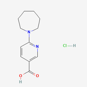 molecular formula C12H17ClN2O2 B1523789 6-(Azepan-1-yl)pyridine-3-carboxylic acid hydrochloride CAS No. 1258640-80-0