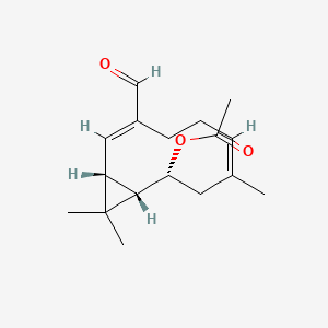 Heishuixiecaolinea