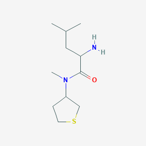 2-amino-N,4-dimethyl-N-(thiolan-3-yl)pentanamide