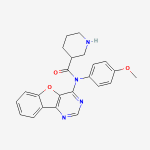 N-([1]benzofuro[3,2-d]pyrimidin-4-yl)-N-(4-methoxyphenyl)piperidine-3-carboxamide