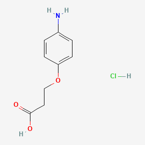 molecular formula C9H12ClNO3 B1524066 3-(4-Aminophenoxy)propanoic acid hydrochloride CAS No. 1311313-84-4