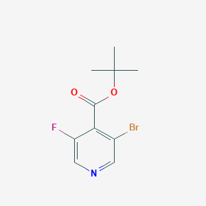 3-Bromo-5-fluoro-isonicotinic acid tert-butyl ester