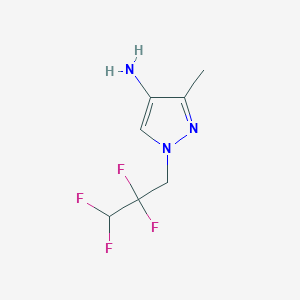 molecular formula C7H9F4N3 B15241614 3-Methyl-1-(2,2,3,3-tetrafluoropropyl)-1H-pyrazol-4-amine 