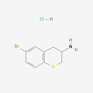 molecular formula C9H11BrClNS B1524225 6-溴-噻吩-3-胺盐酸盐 CAS No. 1263378-81-9