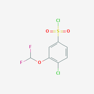 molecular formula C7H4Cl2F2O3S B1524263 4-氯-3-(二氟甲氧基)苯磺酰氯 CAS No. 929341-75-3