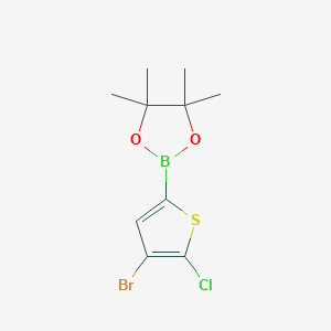 molecular formula C10H13BBrClO2S B1524772 2-(4-溴-5-氯噻吩-2-基)-4,4,5,5-四甲基-1,3,2-二氧杂硼环丁烷 CAS No. 942070-02-2